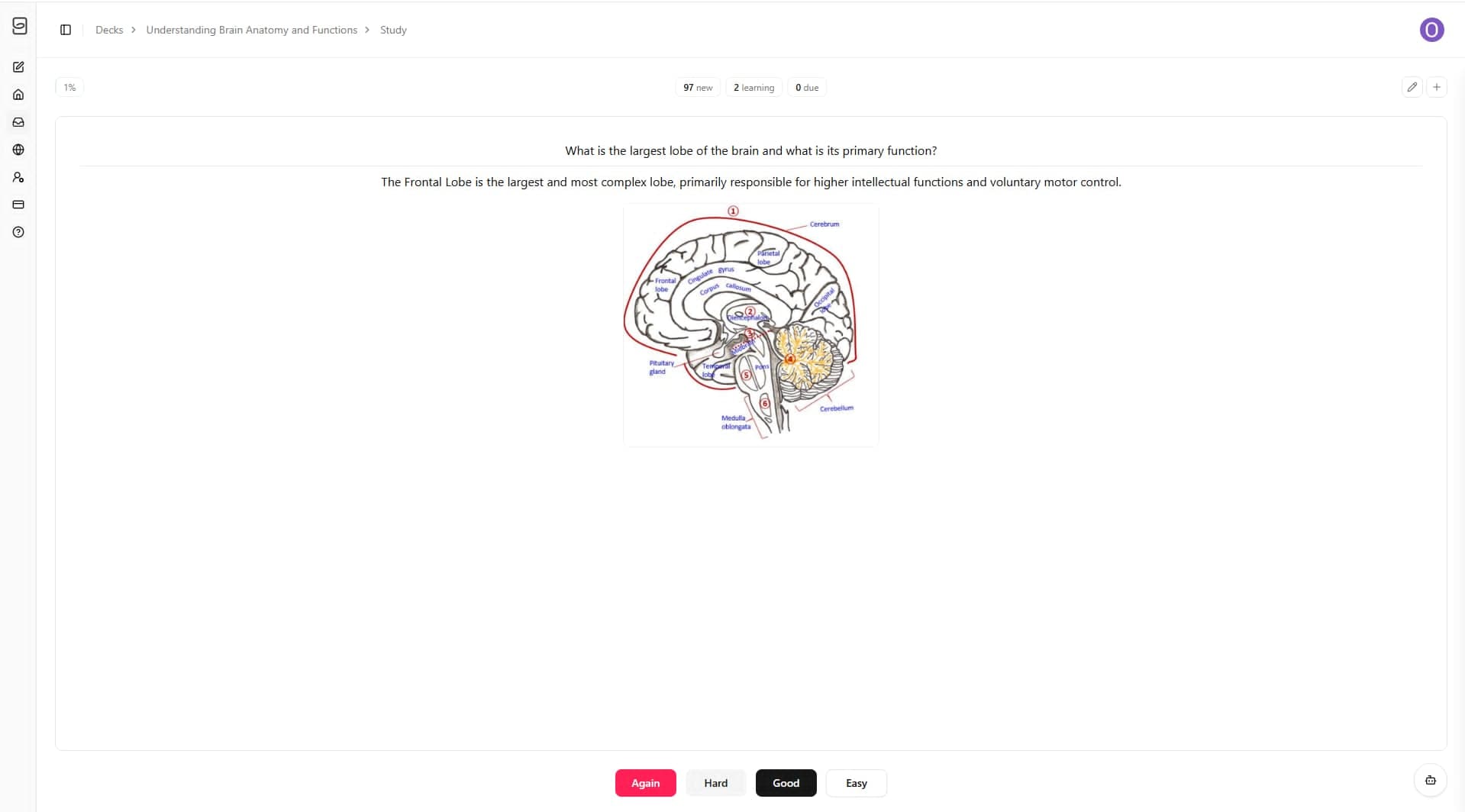 Repetio study mode with answer revealed and spaced repetition rating buttons