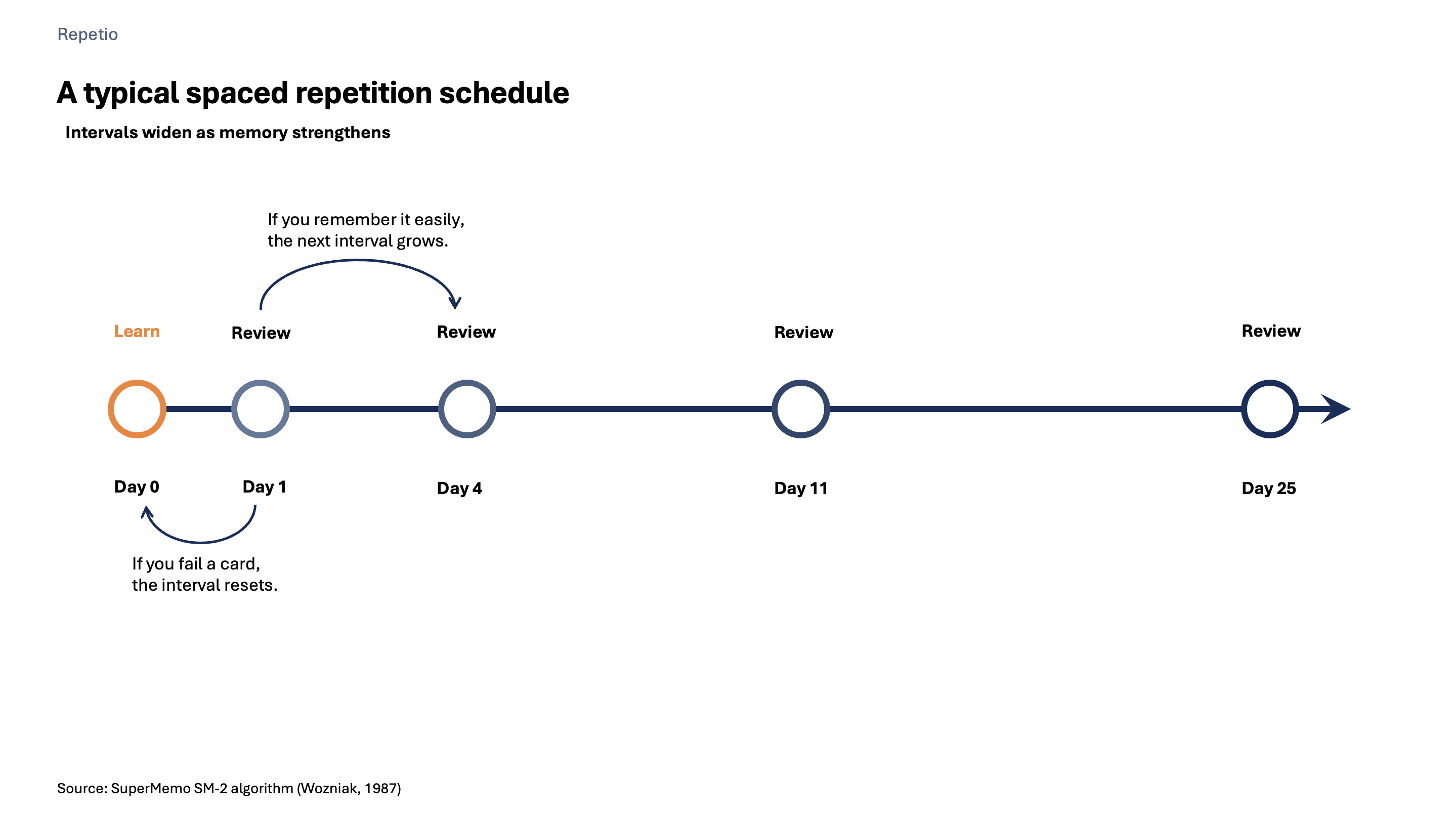 Timeline showing a typical spaced repetition schedule: Learn on Day 0, reviews on Day 1, Day 4, Day 11, and Day 25 with widening intervals